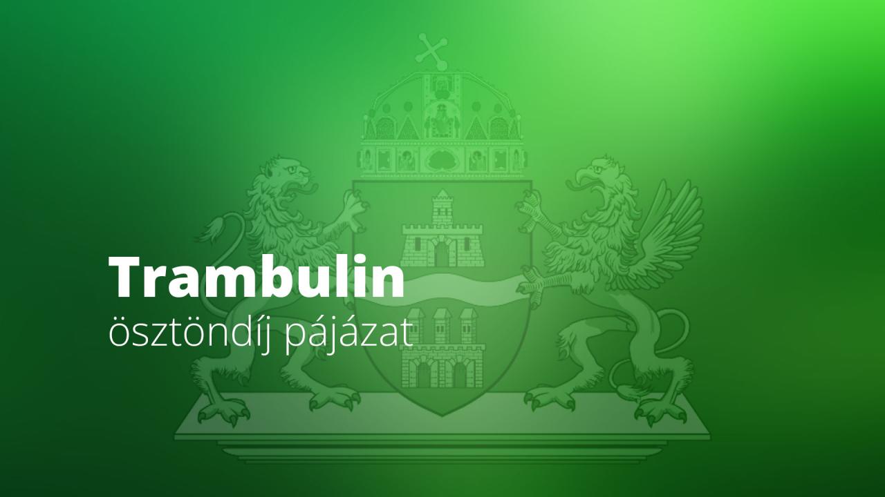 TRAMBULIN PÁLYÁZAT